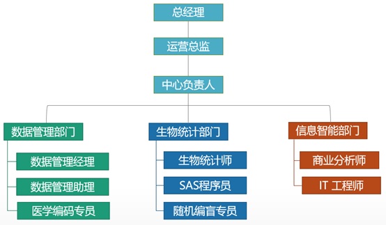 组织架构